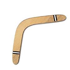 Global Boomerang Market