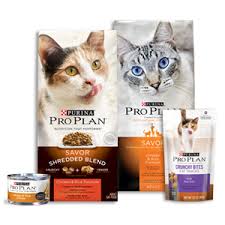 Global Cat Treats Market