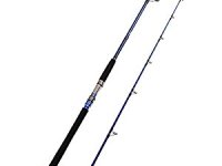 Global Saltwater Rods Market Research, Revenue Analysis & Growth Trends&nbsp;2025